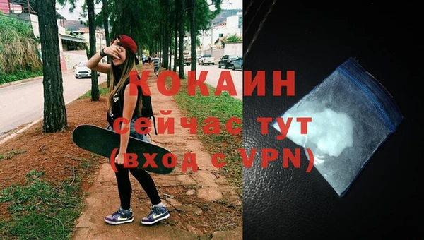 сатива Беломорск