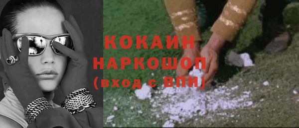 сатива Беломорск