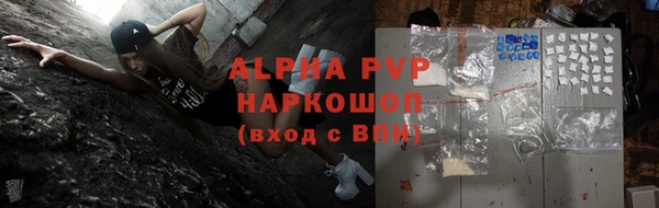 сатива Беломорск