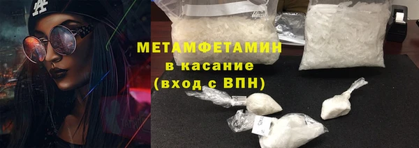 сатива Беломорск
