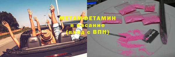 прущие грибы Белокуриха