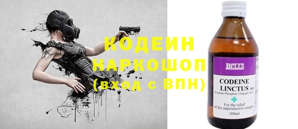 прущие грибы Белокуриха