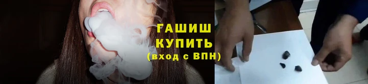 сатива Беломорск