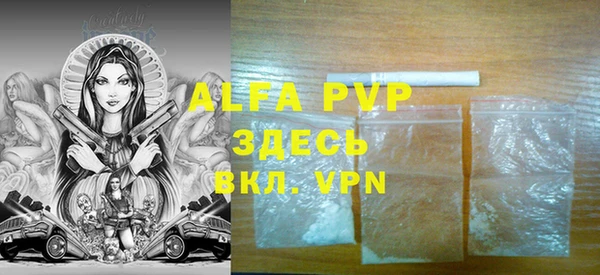 прущие грибы Белокуриха
