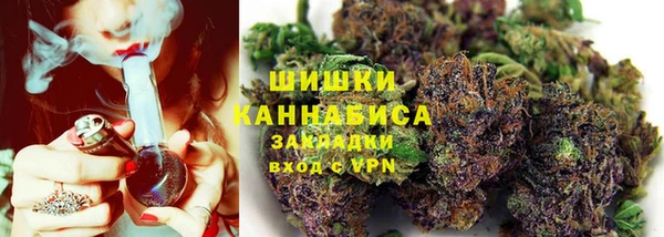 прущие грибы Белокуриха