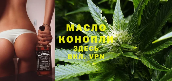 сатива Беломорск