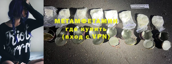 сатива Беломорск