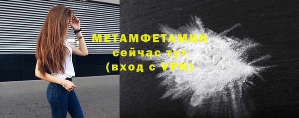 сатива Беломорск