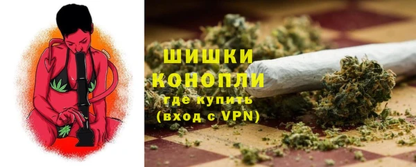 сатива Беломорск