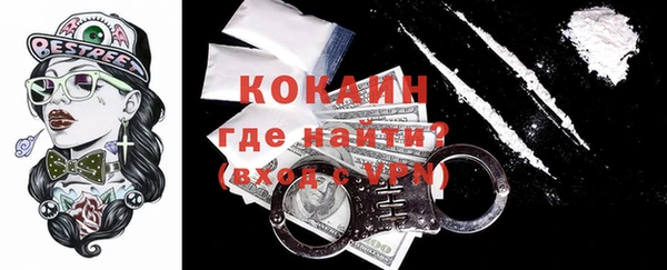 прущие грибы Белокуриха